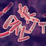 sot-nhiem-khuan-1648111627-width800height550-1648294668372-16482946686901244765157-1648301067323-1648301067477945921063