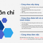 Xanh lá đậm Xanh lá nhạt Trắng Doanh nghiệp Hình học Bản trình bày nội bộ của công ty Bản thuyết trình Kinh doanh